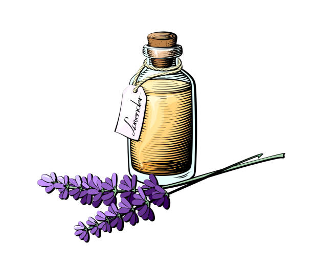 Lavender essential oil bottle Lavender oil bottle illustration. Colored essential oil glass bottle. aspic stock illustrations