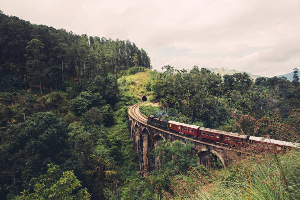istock Train on nine arch bridge in Ella Sri Lanka 1204658662