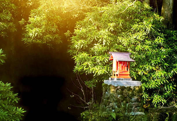Small shinto altar in the morning forest, Japan. Sunny mysterious oriental background. Copy space for text. Mock up template.