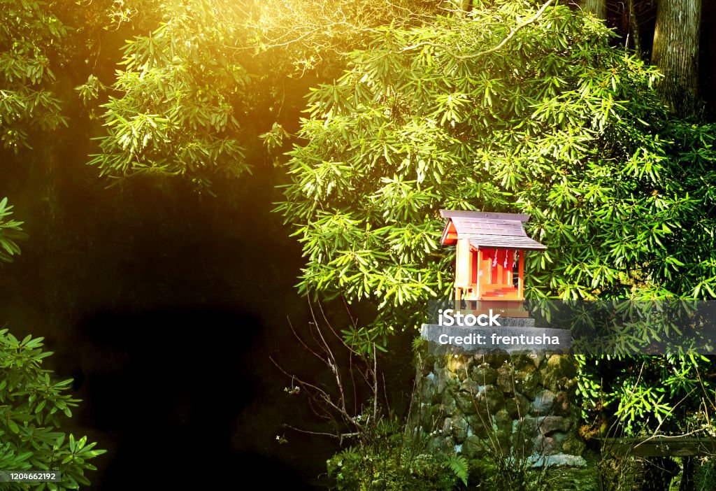 Small shinto altar in the morning forest, Japan Small shinto altar in the morning forest, Japan. Sunny mysterious oriental background. Copy space for text. Mock up template. Shrine Stock Photo