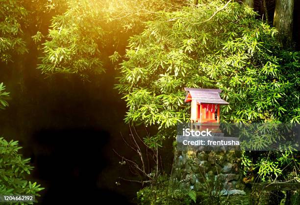 Small Shinto Altar In The Morning Forest Japan Stock Photo - Download Image Now - Shrine, Japan, Shinto
