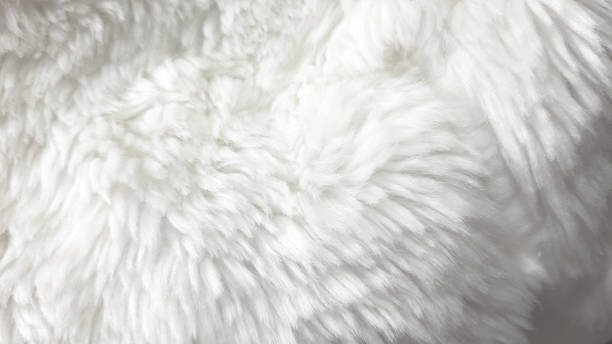istock Light coloured faux fur texture, photo background. Fashion pattern modern, backdrop surface empty 1204664473