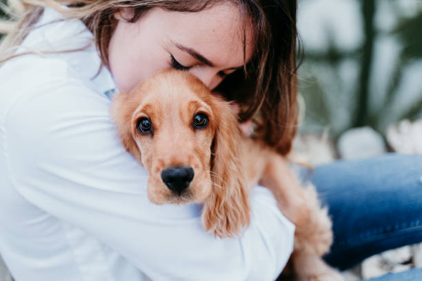 jovem mulher e seu cachorrinho bonito de cocker spaniel ao ar livre - pets embracing one person portrait - fotografias e filmes do acervo