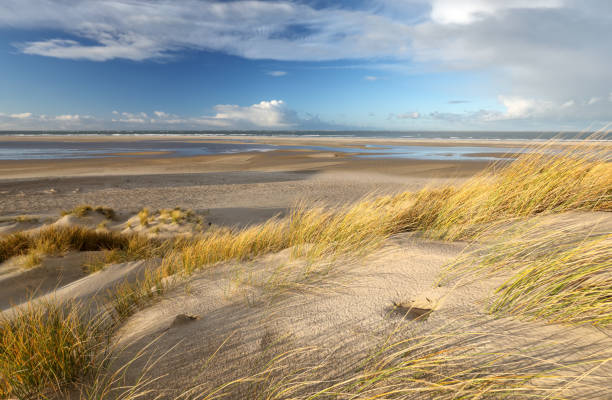 istock sunshine over sand dines and beach at north sea 1204672494