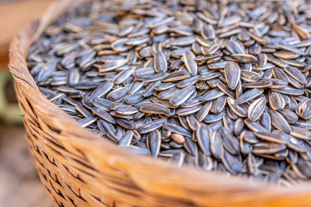 Basket of organic, sweet and nutty sunflower seeds in shell in wooden basket
