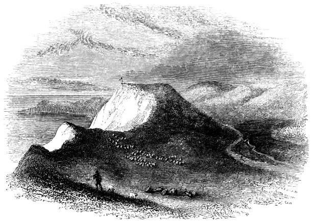 The White Cliffs of Dover in Kent, England - 19th Century The White Cliffs of Dover in Kent, England, Uk. Vintage etching circa 19th century. north downs stock illustrations
