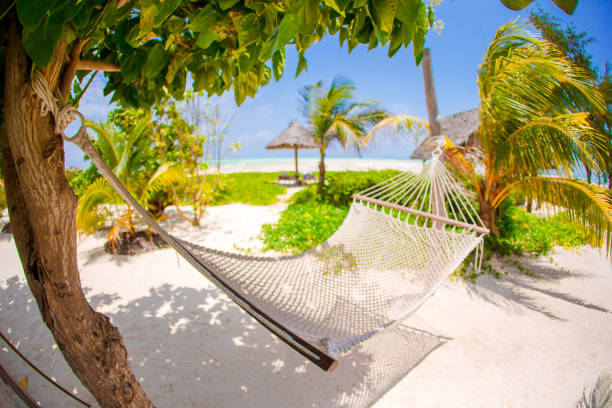 istock Palm trees on the tropical exotic island 1204675981