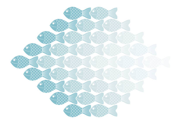 wiele ryb regularne wzór wektor projektu, koncepcja pracy zespołowej biznesu lub tematu społecznego. - lead theme stock illustrations