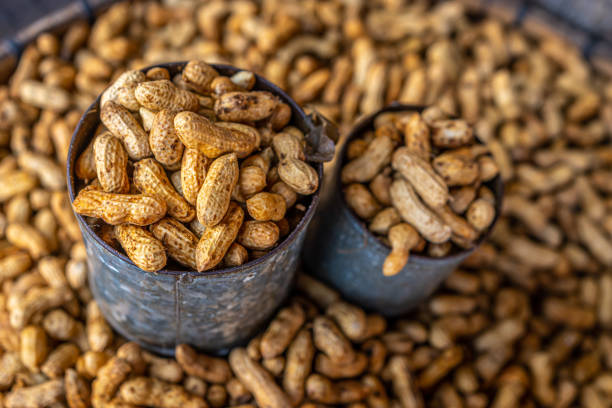istock Harvested peanuts in shell sold at a fresh market 1204676947
