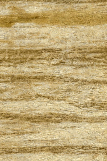 istock Abstract background of empty brown scratched, crumpled old paper or parchment with textured surface. Use to design or place text. 1204679363