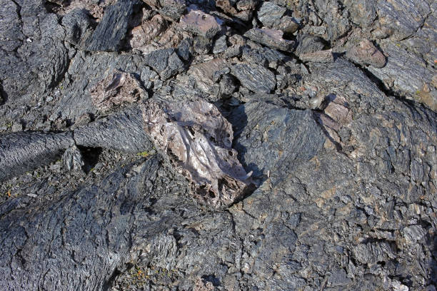 istock Lava field in Kamchatka peninsula, Russia 1204683596