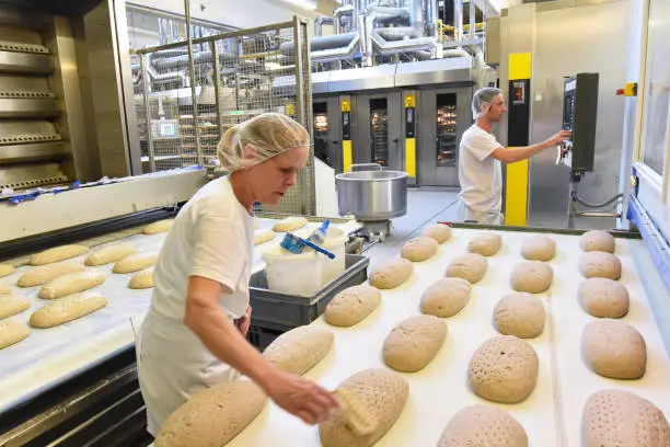 Worker in a large bakery - industrial production of bakery products on an assembly line