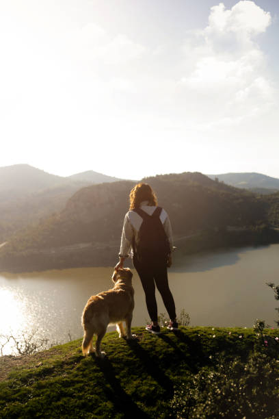 jovem caminhando com o cachorro nas montanhas - meadow autumn hiking mountain - fotografias e filmes do acervo