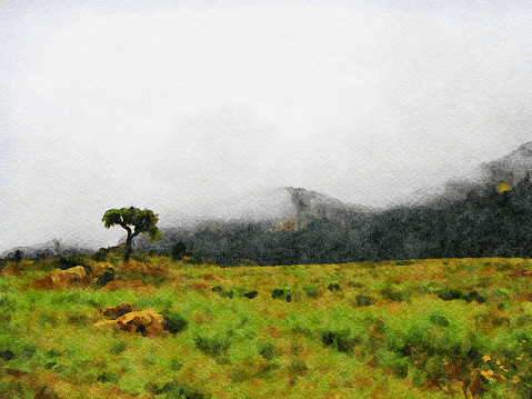 This is my Photographic Image of a Drakensberg Landscape in South Africa in a Watercolour Effect. Because sometimes you might want a more illustrative image for an organic look.
