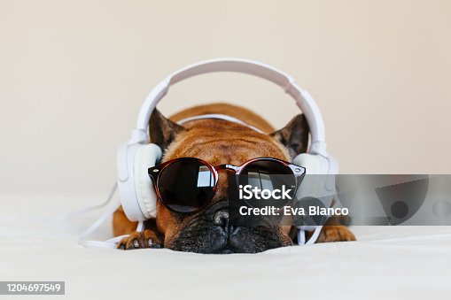 68,896 Music Funny Stock Photos, Pictures & Royalty-Free Images - iStock | Listening to music funny, Country music funny, Christmas music funny 68,896 Music Funny Stock Photos, Pictures & Royalty-Free Images - iStock | Listening to music funny, Country music funny, Christmas music funny