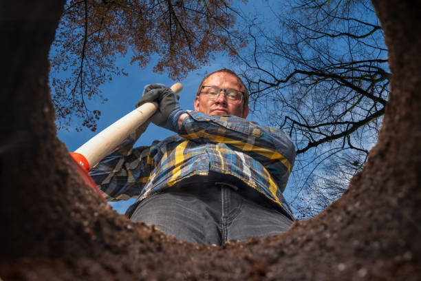 man with a shovel stands by his hole in the garden a man with a shovel stands by his hole in the garden personal perspective standing stock pictures, royalty-free photos & images