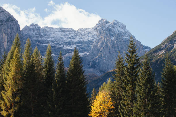 istock Beautiful Alpine Mountains in Autumn 1204700390