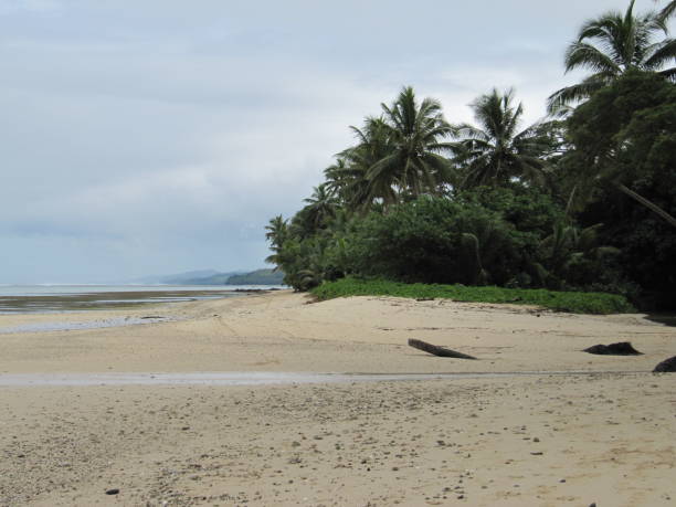 istock View of a sandy beach with palm trees in Thailand 1204701580