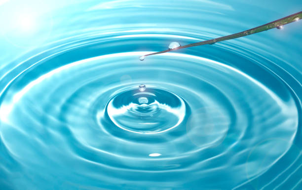 istock Dew drops in spring sunlight fall from a blade of grass into clear, transparent blue water forming circles on the water 1204702191