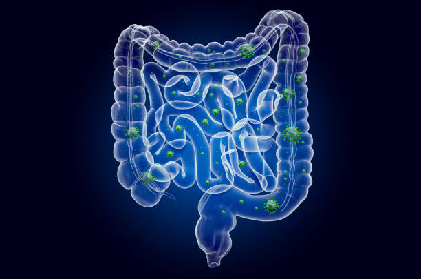 istock Human bowel with virus, ghost light effect, x-ray hologram. 3D rendering on dark blue background 1204703691