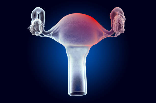 concetto di dolore nell'utero. effetto luce fantasma, ologramma a raggi x. rendering 3d su sfondo blu scuro - vagina uterus human fertility x ray image foto e immagini stock