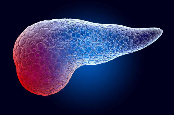 istock Pain in Pancreatic concept. Ghost light effect, x-ray hologram. 3D rendering on dark blue background 1204703723