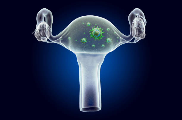 utero con virus, effetto luce fantasma, ologramma a raggi x. rendering 3d su sfondo blu scuro - vagina uterus human fertility x ray image foto e immagini stock