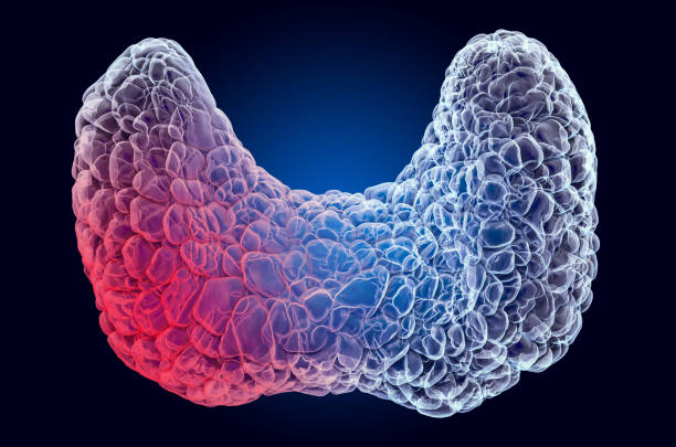 istock Pain in Thyroid concept. Ghost light effect, x-ray hologram. 3D rendering on dark blue background 1204704307