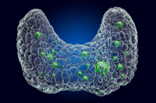 istock Thyroid gland with virus, ghost light effect, x-ray hologram. 3D rendering on dark blue background 1204704321