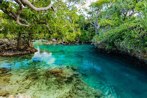 La Laguna Azul, Port Vila, Efate, Vanuatu photo