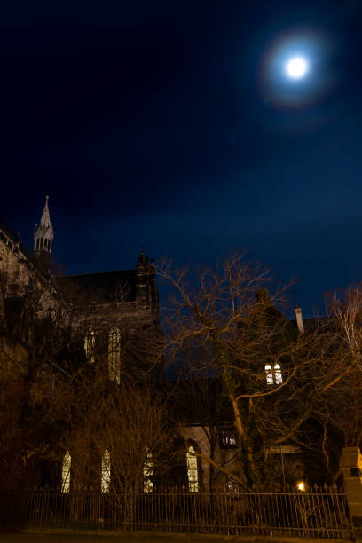 istock Magdeburg Dom and garden illuminated by full moon in winter night 1204706437