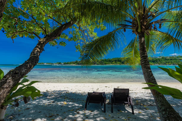 istock Palm trees on a tropical beach, Vanuatu, Erakor Island, Efate 1204706513