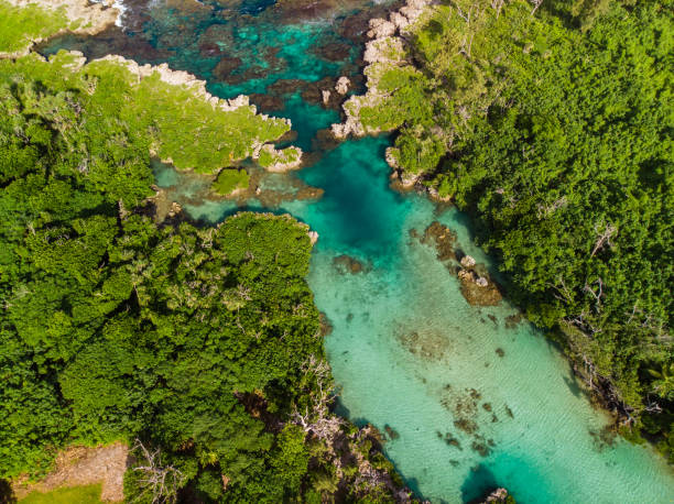 istock The Blue Lagoon from drone, Port Vila, Efate, Vanuatu 1204707514