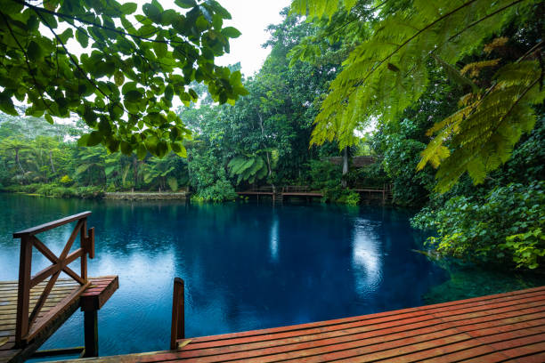 istock Nanda Blue Hole, Espiritu Santo, Vanuatu, Luganville 1204708504