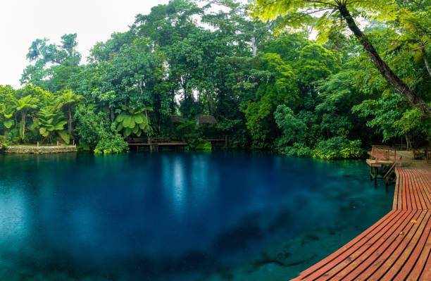 istock Nanda Blue Hole, Espiritu Santo, Vanuatu, Luganville 1204708572
