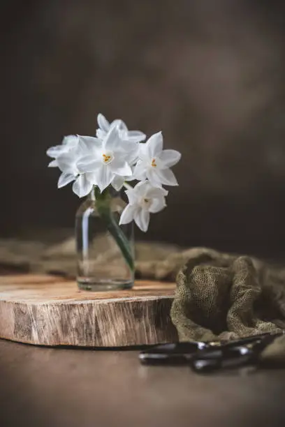 Little bouquet of paperwhite Narcissus in a small, clear bottle on a cedar plank.  Plank on wood table with brown background.  Scissors and fabric in background.