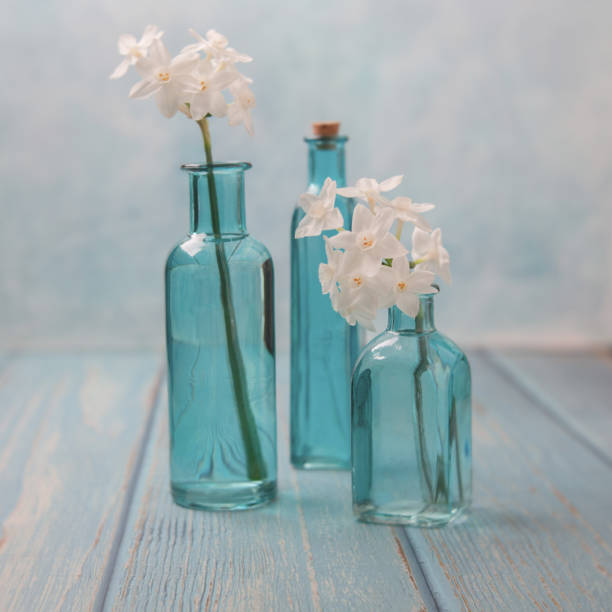 istock Freshly Cut Paperwhite Narcissus in Blue Bottles on Blue Background 1204709519