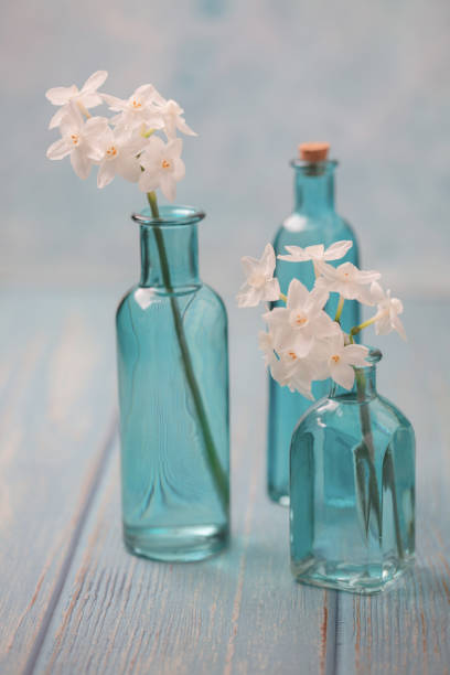 istock Freshly Cut Paperwhite Narcissus in Blue Bottles on Blue Background 1204709525