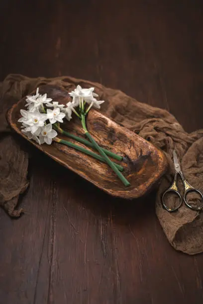 Freshly cut stems of paperwhite narcissus in a wooden bowl on wood tabletop.  Soft fabric arranged in background.  Scissors in background.