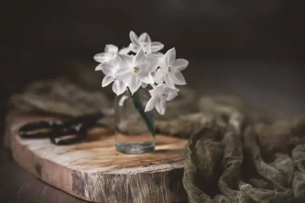 Little bouquet of paperwhite Narcissus in a small, clear bottle on a cedar plank.  Plank on wood table with brown background.  Scissors and fabric in background.
