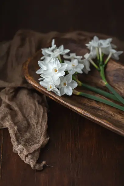 Freshly cut stems of paperwhite narcissus in a wooden bowl on wood tabletop.  Soft fabric arranged in background.