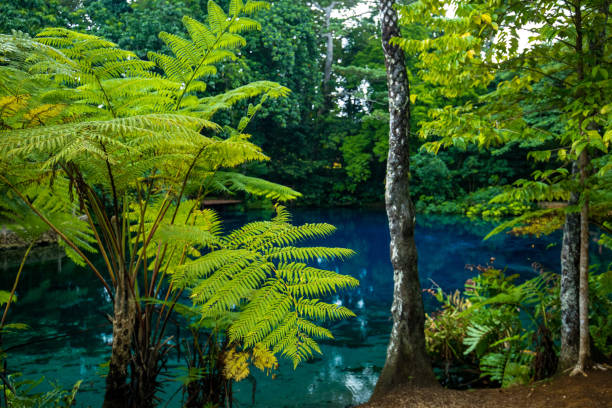 istock Nanda Blue Hole, Espiritu Santo, Vanuatu, Luganville 1204709721