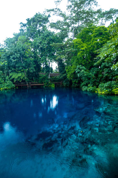 istock Nanda Blue Hole, Espiritu Santo, Vanuatu, Luganville 1204710805