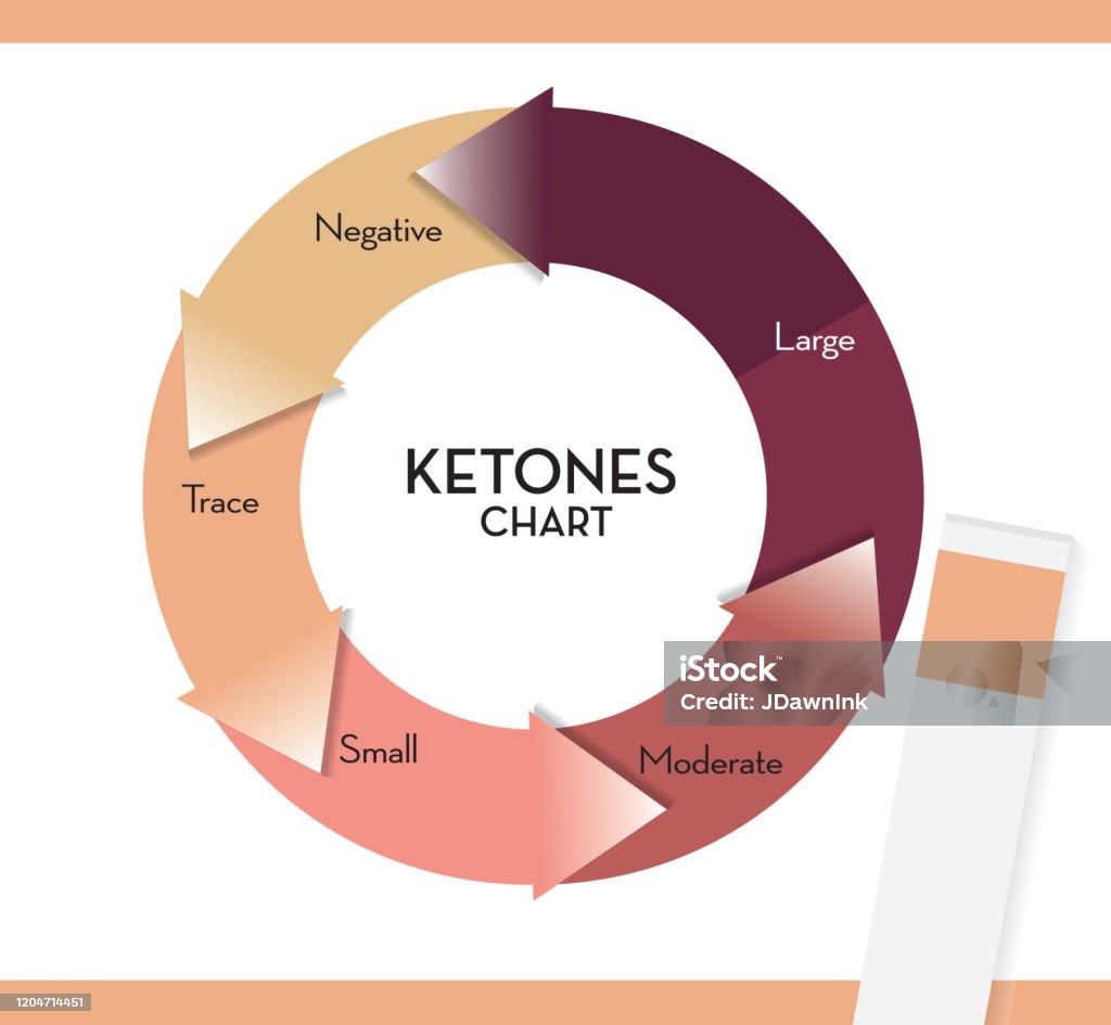 Keto Levels Ketogenic Reading Infographic Chart Showing Color Coding For Ketone ...