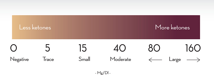 Keto Levels Ketogenic Reading Infographic Chart Showing Color Coding For Ketone ...