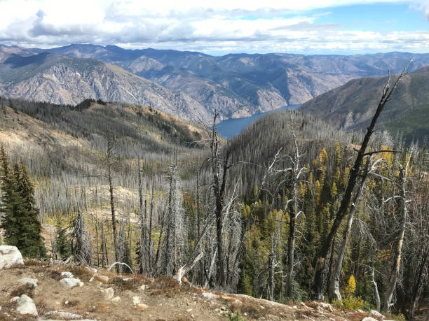 istock Lake Chelan Surrounded By Trees Burned In Wildfire 1204715877