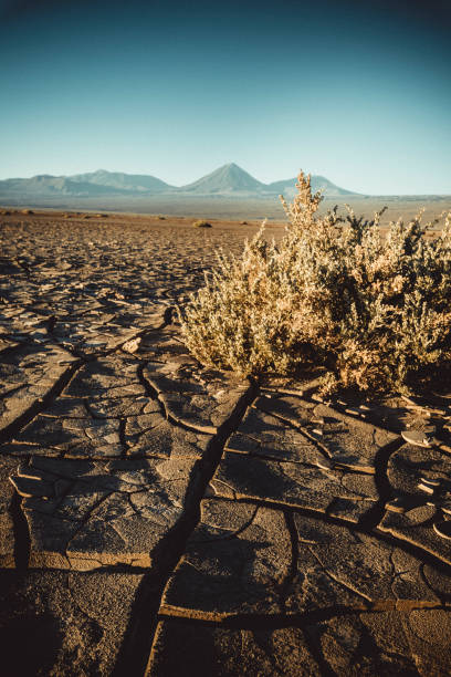 grietas de erosión en el desierto de atacama - cerro miscanti fotografías e imágenes de stock