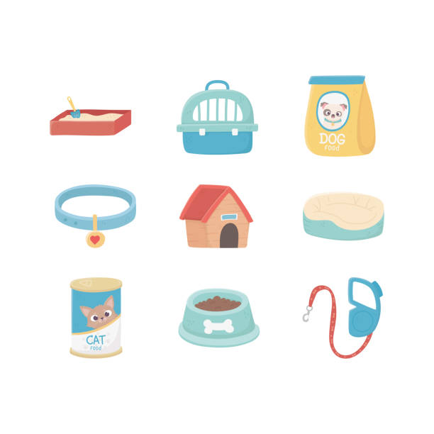 istock domestic sandbox collar bed case food package paw dog animals, pets 1204726296