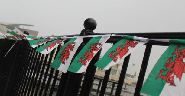 banderas galesas en la bahía de cardiff - welsh flag flag welsh culture all european flags fotografías e imágenes de stock