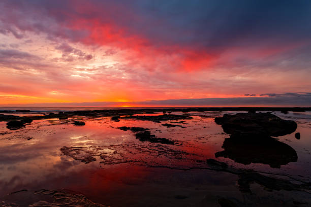 istock Beautiful multi colored sunrise coastal landscape 1204728768